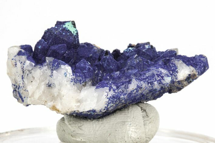 Vivid-Blue Azurite Encrusted Quartz Crystals - China #213806